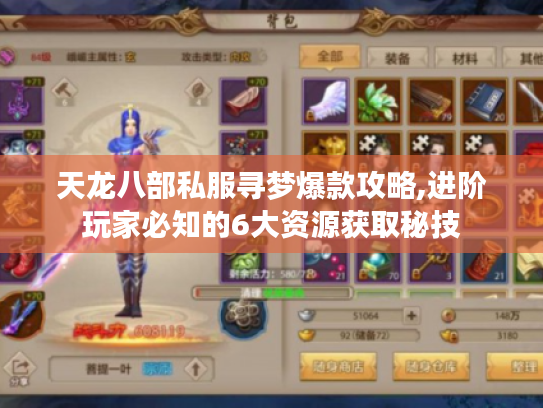 天龙八部私服寻梦爆款攻略,进阶玩家必知的6大资源获取秘技