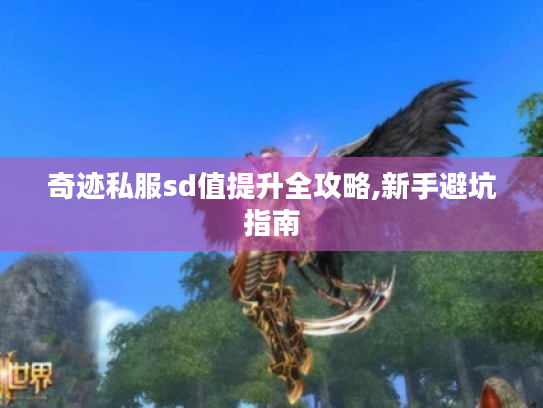 奇迹私服sd值提升全攻略,新手避坑指南