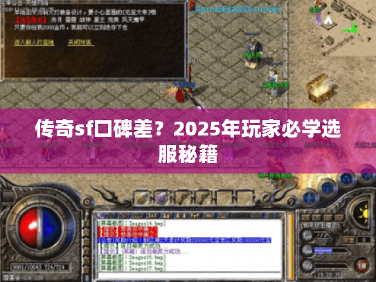 传奇sf口碑差？2025年玩家必学选服秘籍