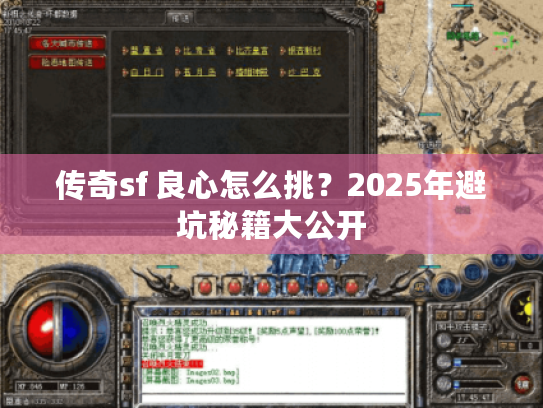 传奇sf 良心怎么挑？2025年避坑秘籍大公开