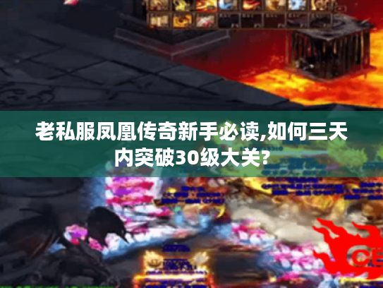老私服凤凰传奇新手必读,如何三天内突破30级大关?