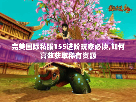 完美国际私服155进阶玩家必读,如何高效获取稀有资源