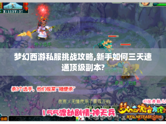 梦幻西游私服挑战攻略,新手如何三天速通顶级副本?