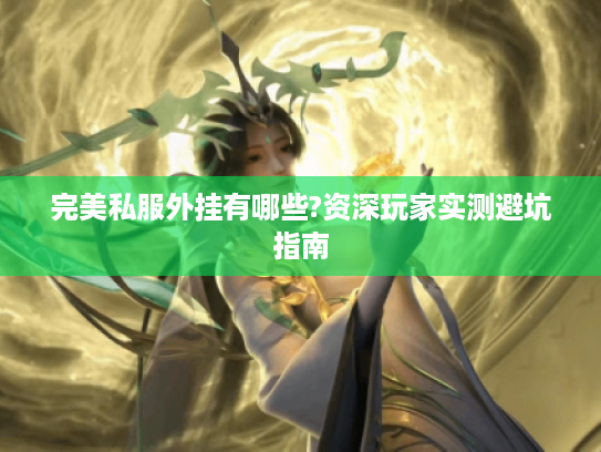 完美私服外挂有哪些?资深玩家实测避坑指南