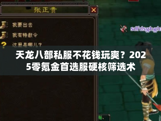 天龙八部私服不花钱玩爽？2025零氪金首选服硬核筛选术