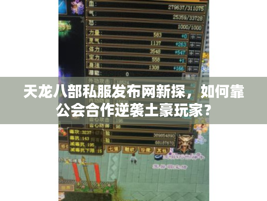 天龙八部私服发布网新探，如何靠公会合作逆袭土豪玩家？