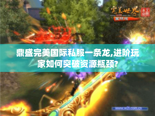 鼎盛完美国际私服一条龙,进阶玩家如何突破资源瓶颈?