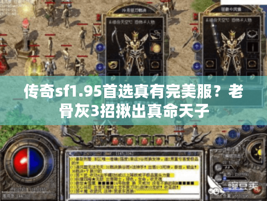 传奇sf1.95首选真有完美服？老骨灰3招揪出真命天子