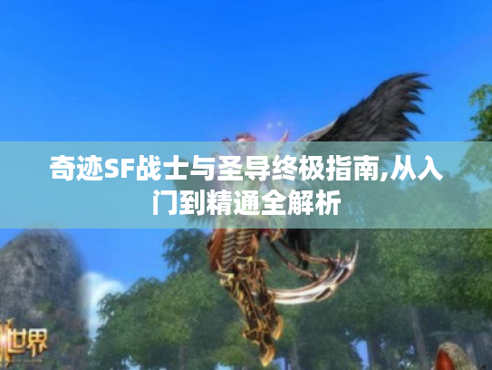 奇迹SF战士与圣导终极指南,从入门到精通全解析
