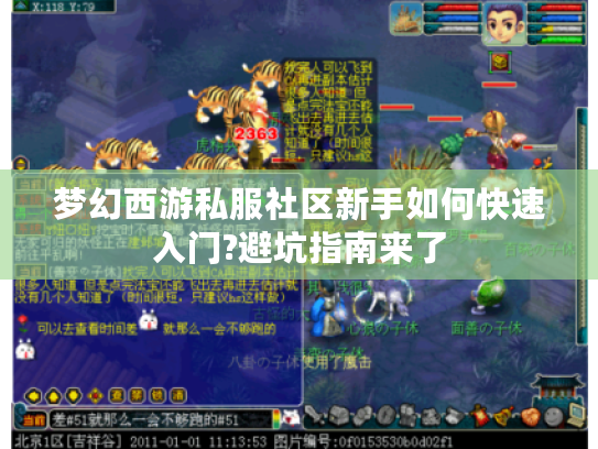 梦幻西游私服社区新手如何快速入门?避坑指南来了