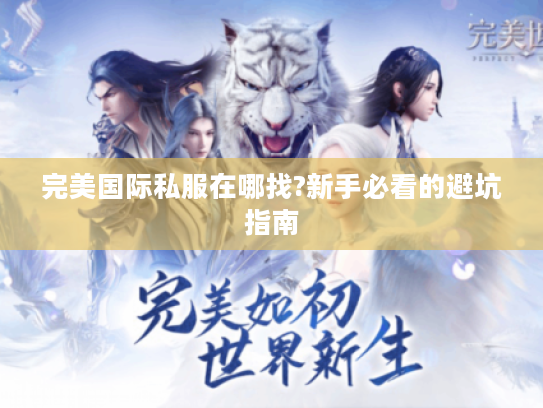 完美国际私服在哪找?新手必看的避坑指南