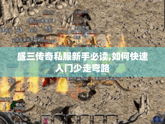 盛三传奇私服新手必读,如何快速入门少走弯路