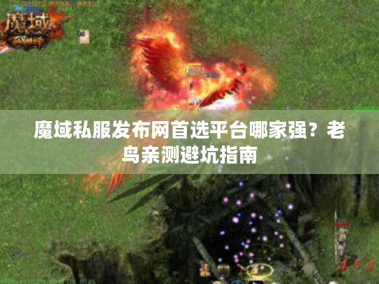 魔域私服发布网首选平台哪家强？老鸟亲测避坑指南