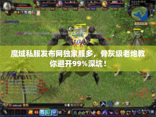 魔域私服发布网独家服多，骨灰级老炮教你避开99%深坑！