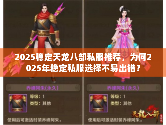 2025稳定天龙八部私服推荐，为何2025年稳定私服选择不易出错？