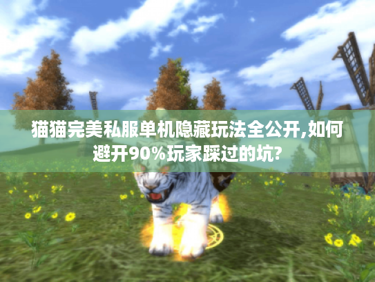 猫猫完美私服单机隐藏玩法全公开,如何避开90%玩家踩过的坑?