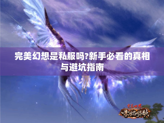 完美幻想是私服吗?新手必看的真相与避坑指南