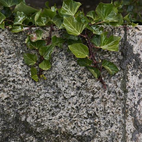 《浩天奇缘2》二测：奇缘相遇，体验升级！