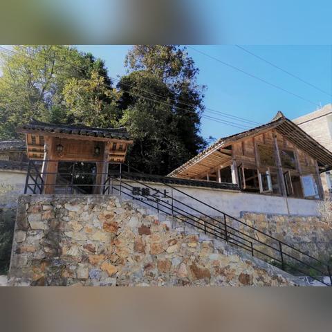 世界树迷宫123合集试玩：古树焕新颜，经典重温依旧精彩