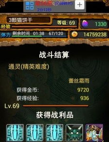 龙息神寂紫卡英雄，揭秘隐藏最强阵容！