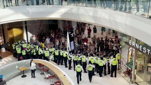 揭秘七日世界：神秘物品价格大揭秘，你敢看吗？