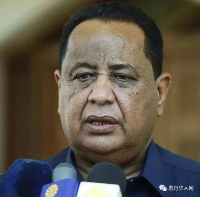 苏丹制图师麦娜尔事件概览