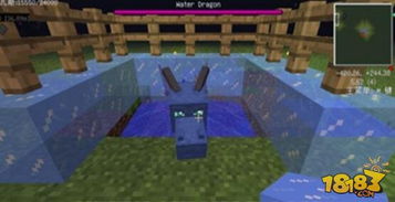 《Minecraft末影龙蛋孵化指南：高级末影龙培育秘籍》