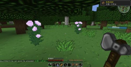 《Minecraft主城守护秘籍：掌握这些指令，轻松成为城池守护者！》