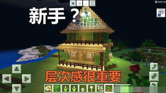 《一招轻松！Minecraft插件安装全攻略，新手必看》