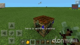 《揭秘！Minecraft橡胶树橡胶获取全攻略，新手必看！》
