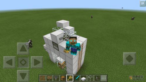 《Minecraft菌丝攻略：高效获取菌丝秘籍》