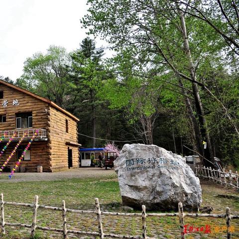 《荒野》跌落神坛？揭秘《怪物猎人》系列新篇章的五大槽点