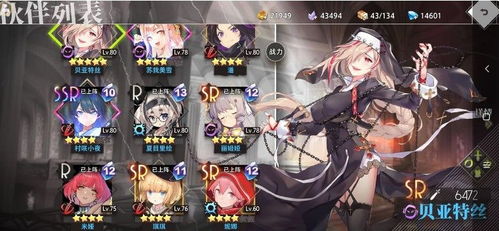 《银与绯希波蒂角色抽选分析：值得入手吗？》