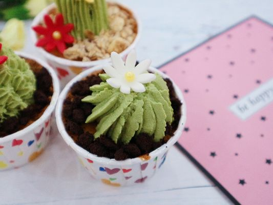 苏丹仙人掌蛋糕攻略：大餐级制作秘籍大公开