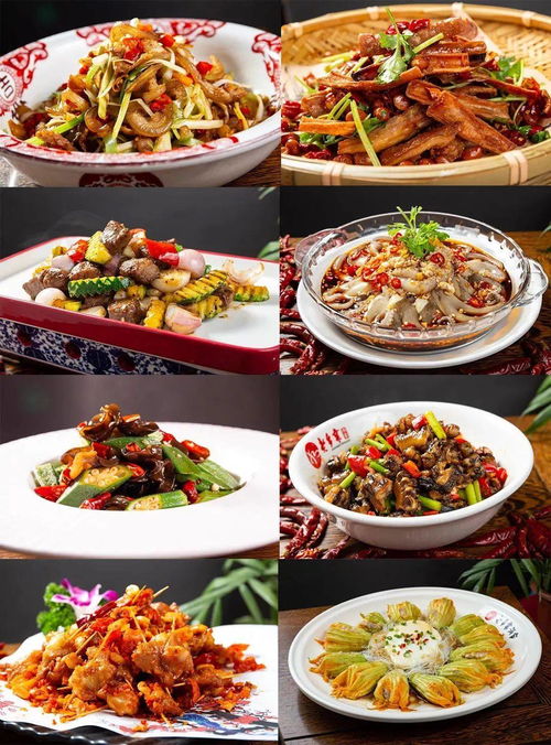 《熏狮子全餐制作攻略：苏丹金大餐独门秘籍》