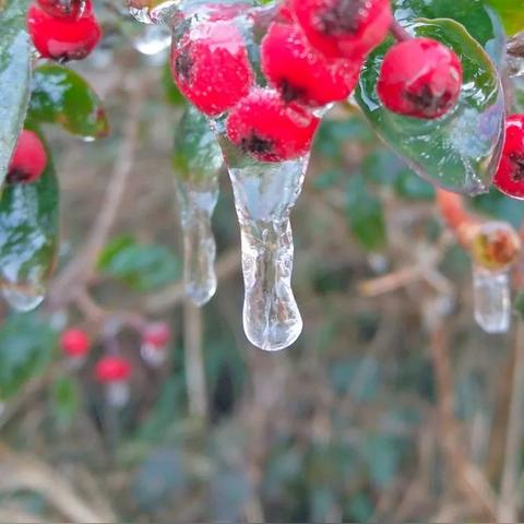 《FF14水晶世界时尚搭配秘籍：第二期满分攻略揭秘》