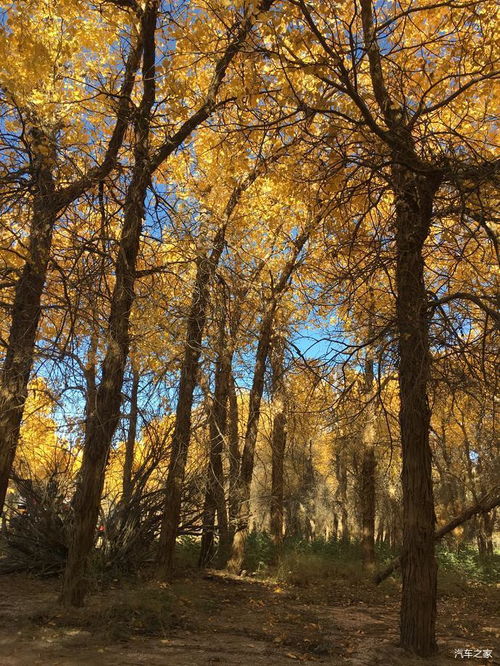 剑星拍照圣地大揭秘！拍照点攻略汇总