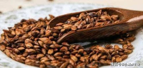 剑星大麦谷物茶攻略：快速获取大麦茶秘籍