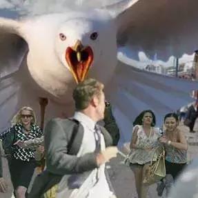 SCUM捡垃圾攻略：高效垃圾搜集技巧揭秘