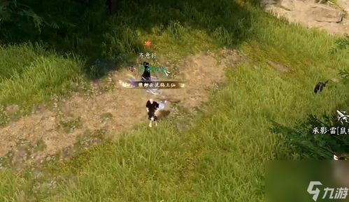 逆水寒手游天极岛奇遇盘点：独家揭秘新奇遇玩法