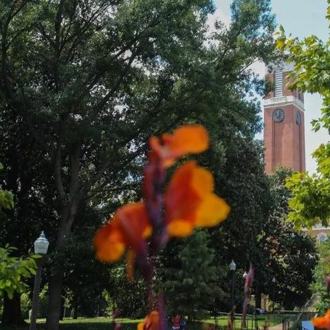 《2024热门教程游戏盘点：人气爆款一网打尽》
《年度必玩教程游戏推荐：2024人气精选大公开》
《探索2024年最受欢迎教程游戏：热门榜单揭晓》
《2024教程游戏排行：盘点玩家最爱的人气之作》
《人气飙升！2024年最受欢迎教程游戏大盘点》