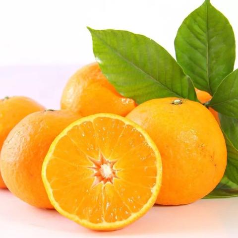 《多重人生分化材料攻略：高效获取方法揭秘》