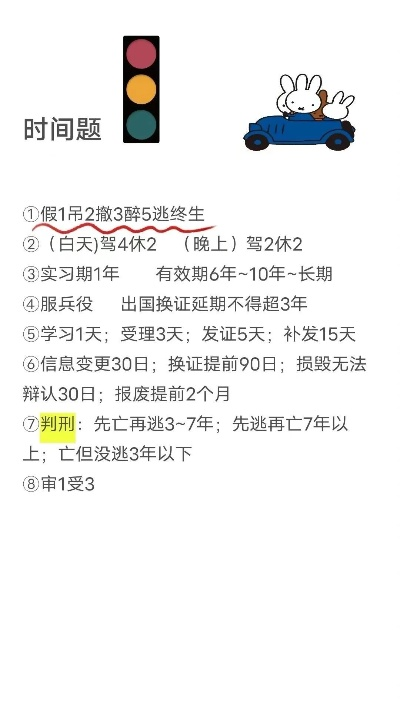 《人生驾驶考试通关秘籍：轻松过考攻略》