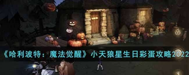 哈利波特觉醒：揭秘小天狼星生日彩蛋位置攻略