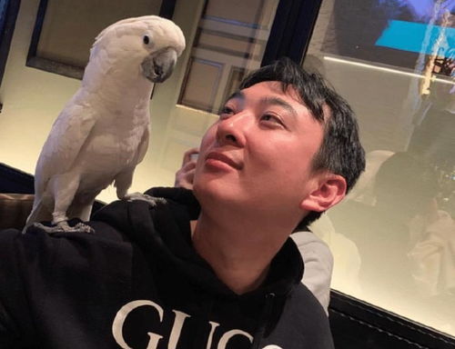 《Donk女版蓉r与某位网红，谁更胜一筹？》