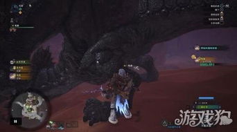 《狩猎时刻寄居蟹怪物高效攻略，轻松通关！》