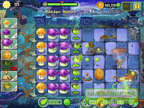 《海龟蘑菇汤通关秘籍：厌学关卡轻松过》