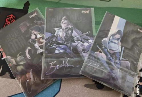 《无期迷途娜恰疑凶追影攻略：副本通关秘籍》