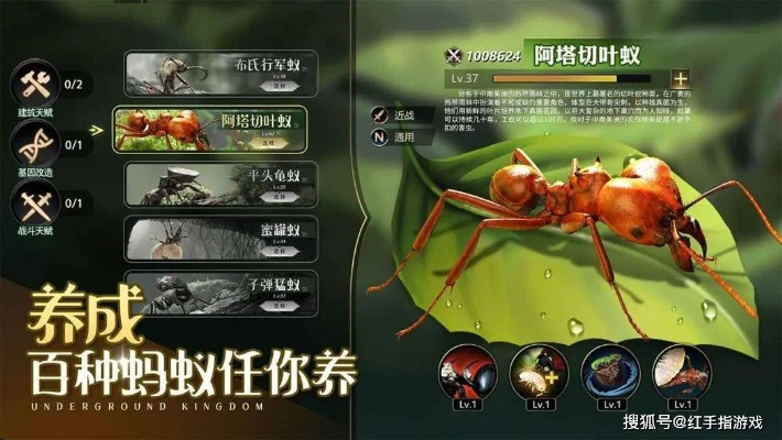 《小小蚁国搬砖攻略：高效打金秘籍速览》