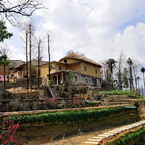 云上城之歌蘑菇快速获取攻略，轻松上手！